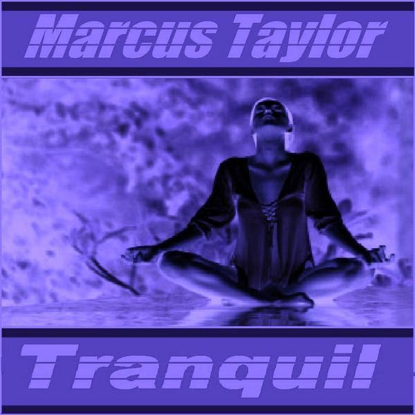 Tranquil (The Visualist Remix)
