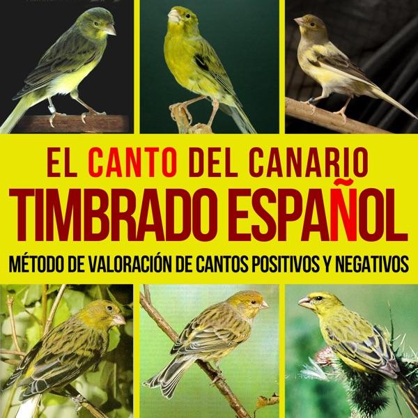 Combinaciones Correctas de Cantos Positivos 6