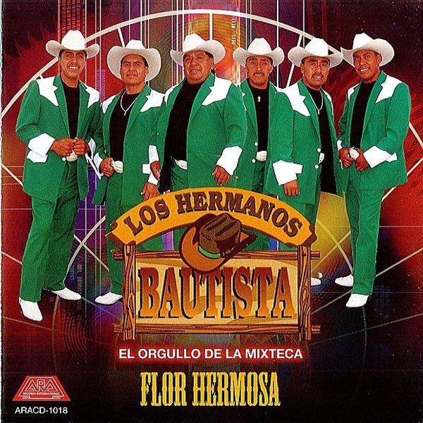 Los Hocicones