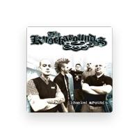The Knockarounds
