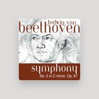 The Fine Classical Orchestra