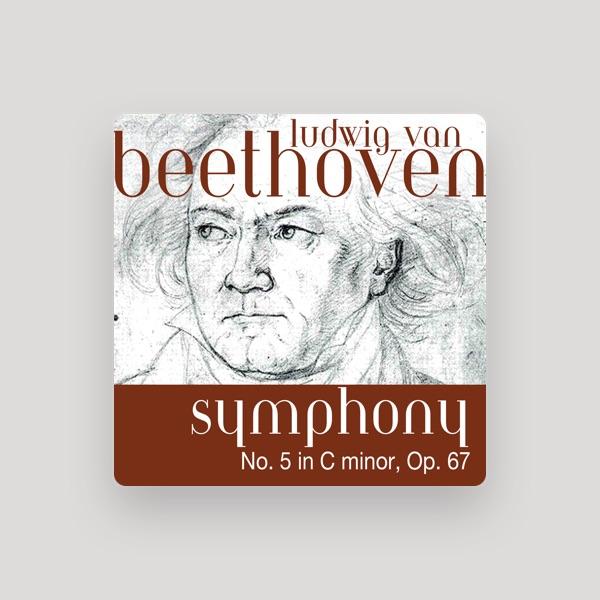 The Fine Classical Orchestra