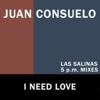 I Need Love (Las Salinas 5 p.m. Dont Like Vocal Dub)