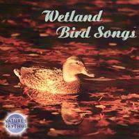 Song of the Wetlands