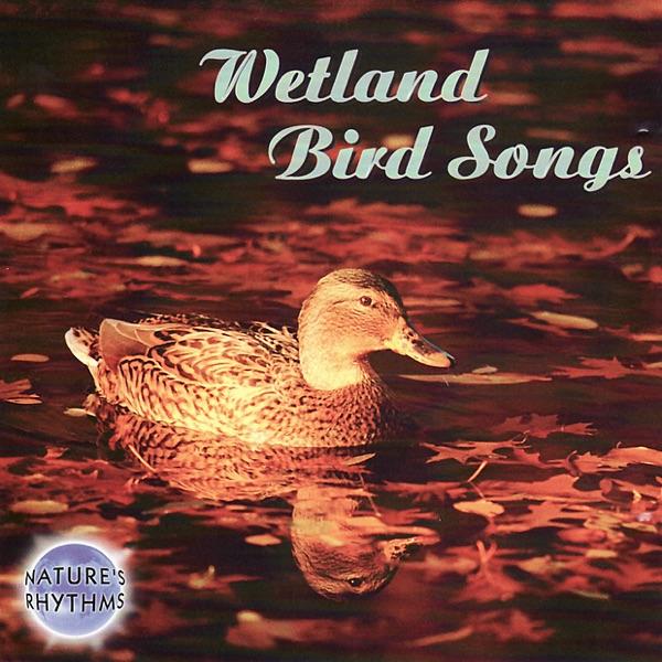 Song of the Wetlands
