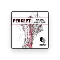 Percept