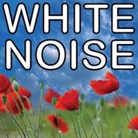 White Noise
