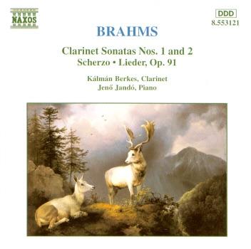 Sonata for Clarinet and Piano in F Minor, Op. 120, No. 1, I. Allegro appassionato