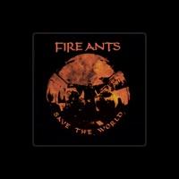 Fireants