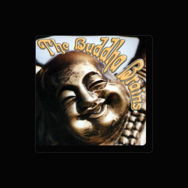 The Buddha Brains