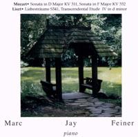 Liebestraume, S 541: Transcendental Etude IV in D Minor 'Mazeppa': 4. Allegro