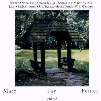 Liebestraume, S 541: Transcendental Etude IV in D Minor 'Mazeppa': 4. Allegro
