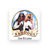 Baddogs