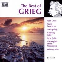 グリーグ: ピアノ協奏曲 イ短調 Op.16 - I. Allegro molto moderato