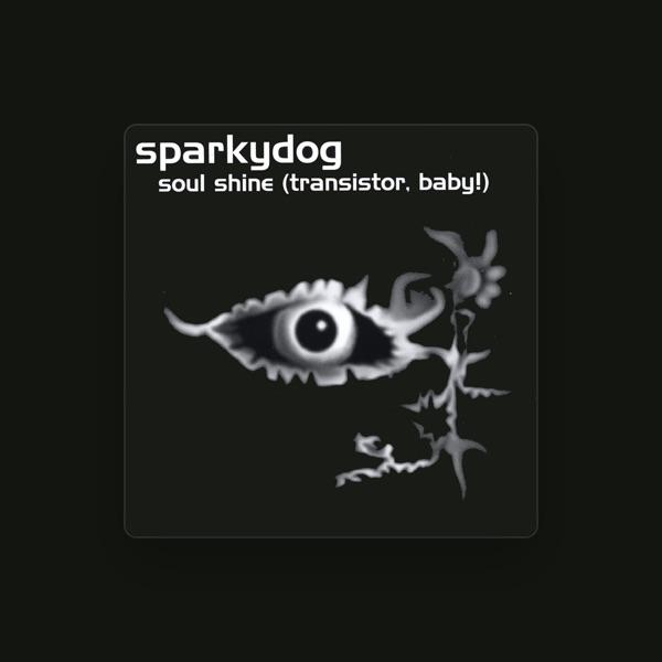 Sparkydog