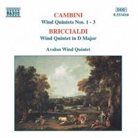 Wind Quintet in D Major, Op.124, III. Allegro