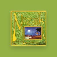 Mozaik
