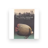 The Cedar Waxwings