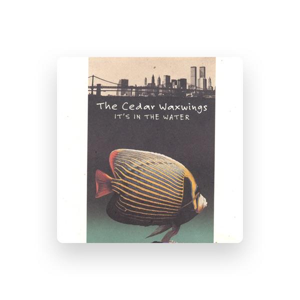 The Cedar Waxwings