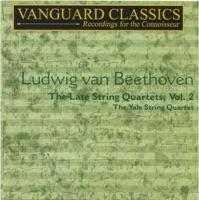 String Quartet No. 16 in F Major, Op. 135: IV. Der schwer gefaßte Entschuluß (Grave - Allegro - Grave ma non troppo tratto - Allegro)