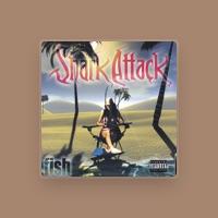 Shark Attack