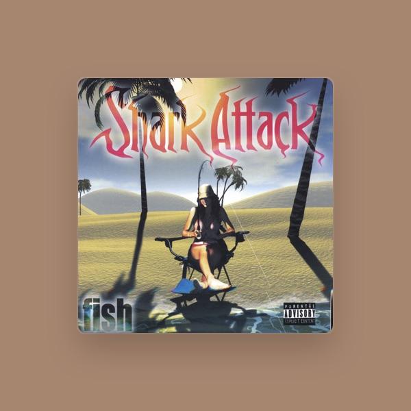 Shark Attack