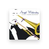 Angel Melendez & The 911 MAMBO Orchestra