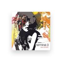 Terminal-3