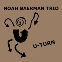 (There Will Never Be Another) U-Turn