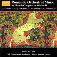 Allegro Con Brio (The Sun Over The Heath)
