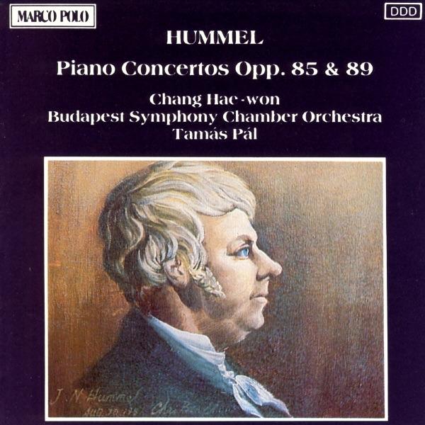 Piano Concerto in B Minor, Op. 89: I. Allegro Moderato