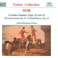 Grande Sonate, Op. 25: III. Theme and Variations: Andantino grazioso