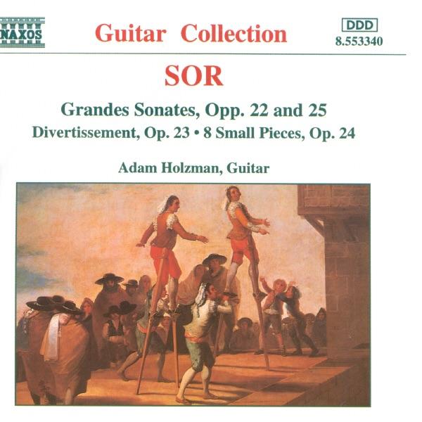 Grande Sonate, Op. 25: II. Allegro non troppo