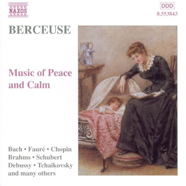 Orchestral Suite No.3 In D Major Bwv1068: Air