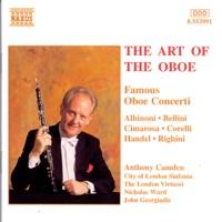 Concerto in D Minor, Op. 9, No. 2: II. Adagio
