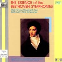 Symphony No. 9 in D Minor, Op. 125 "Choral": Finale - Presto
