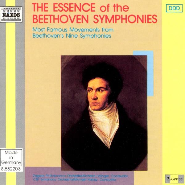Symphony No. 9 in D Minor, Op. 125 "Choral": Finale - Presto