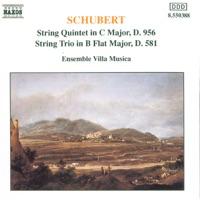 String Quintet In C Major: II. Adagio