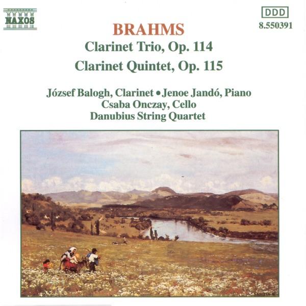 Quintet For Clarinet And Strings In B Minor, Op. 115: Con Moto