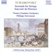 Souvenir de Florence in D Minor, Op. 70: I. Allegro con spirito (For String Orchestra)