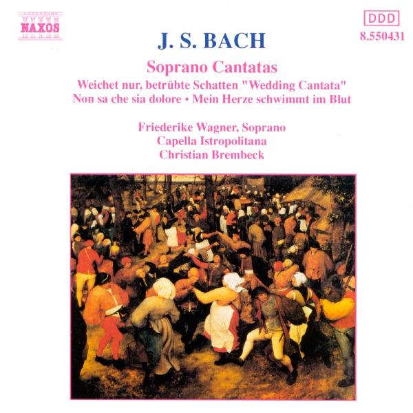 Cantata 'Non Sa Che Sia Dolore', BWV 209: Sinfonia