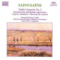 Violin Concerto No. 3 in B Minor, Op. 61: II. Andantino Quasi Allegretto