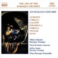 Sonata in D Major for Two Trumpets, Strings and Continuo: IV. Allegro