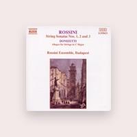 Budapest Rossini Ensemble