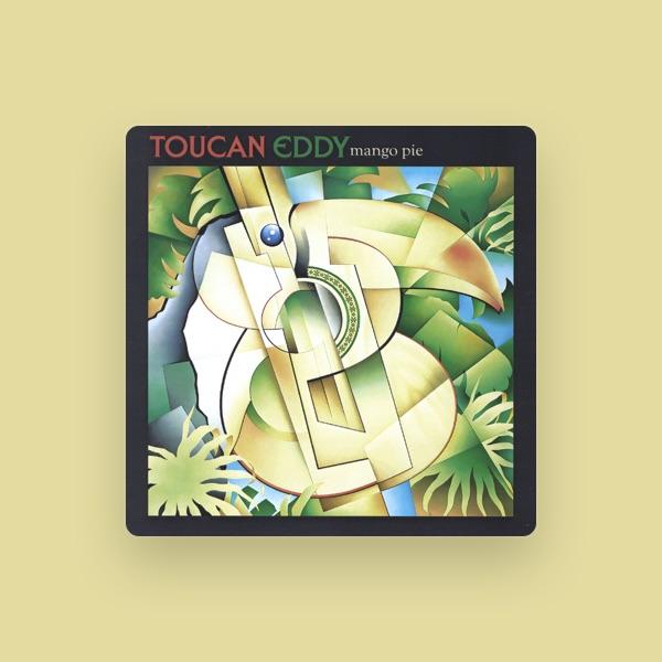 Toucan Eddy