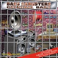 Check the Flava (Pop Radio Mix)