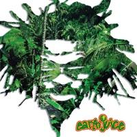 Love Dub (Drum Mix)