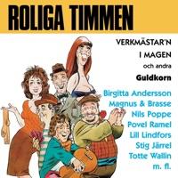 Sveriges Vackraste Röst-Birgitta Andersson