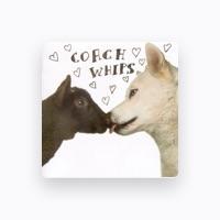Coachwhips