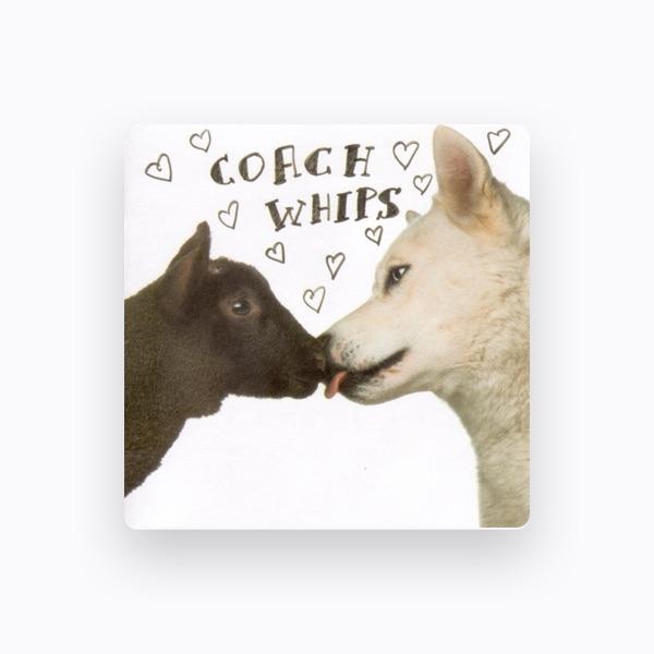 Coachwhips